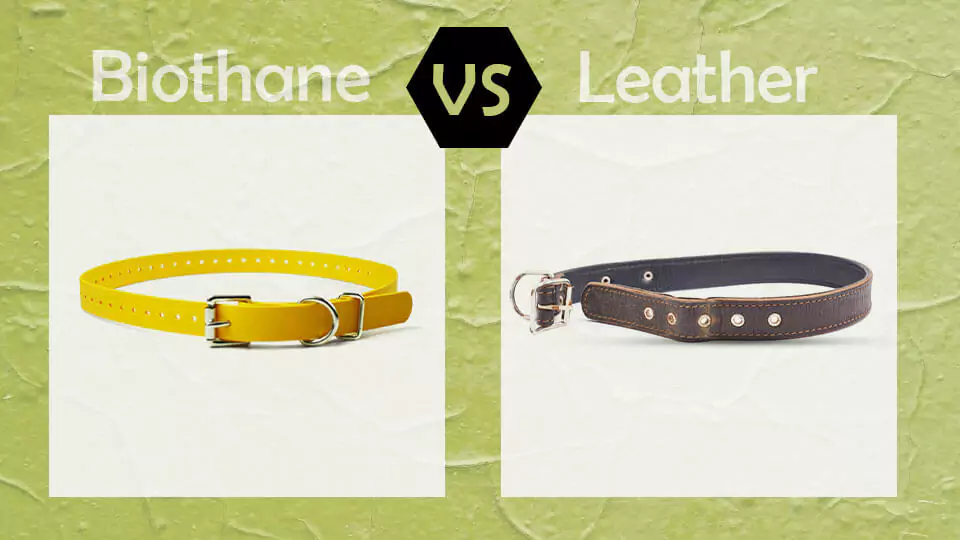 biothane-vs-leather
