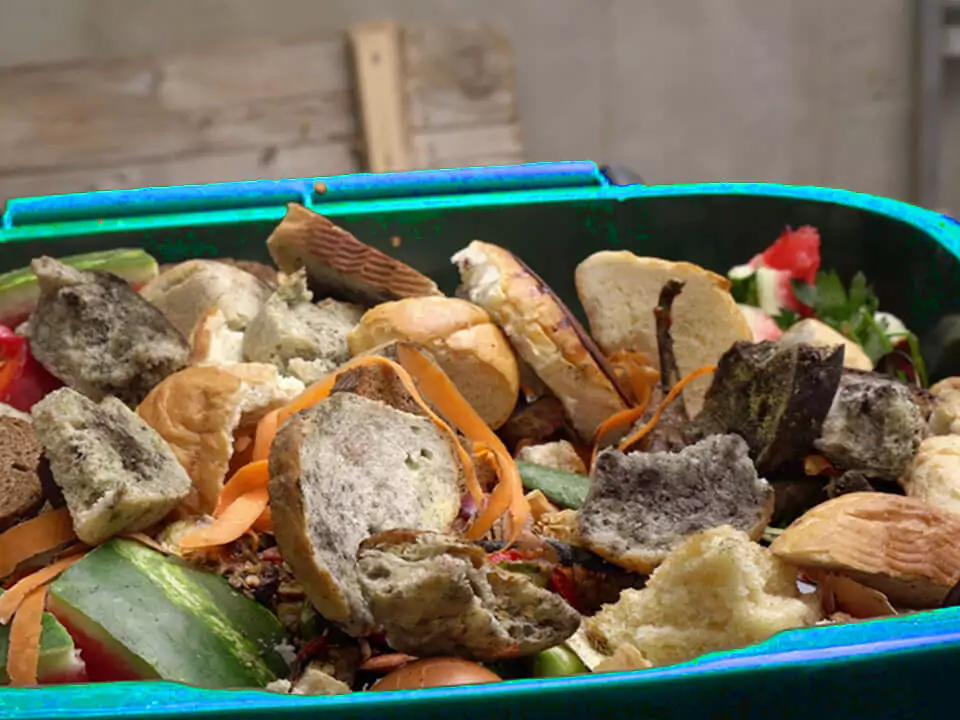 why-is-food-waste-a-global-crisis