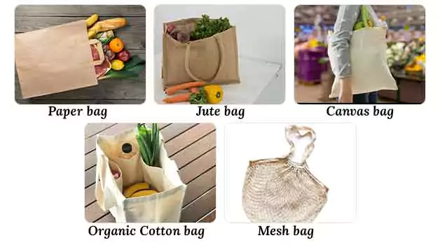 alternatives-to-plastic-bags