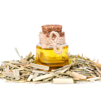 dried-lemongrass-essential-oil