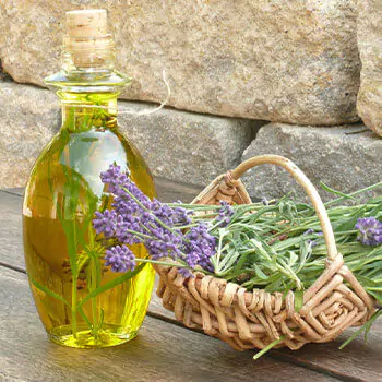 herbs-de-provence-essential-oil