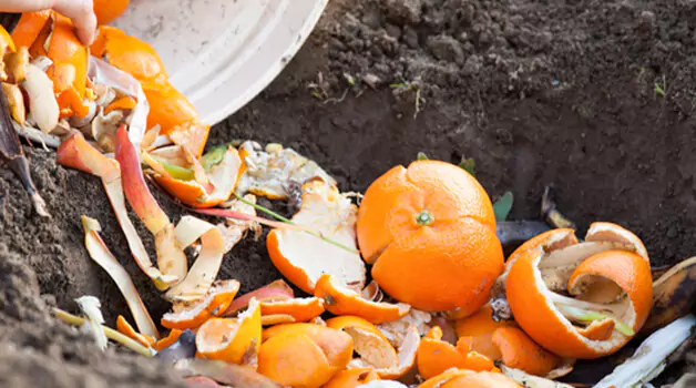 composting-orange-peels