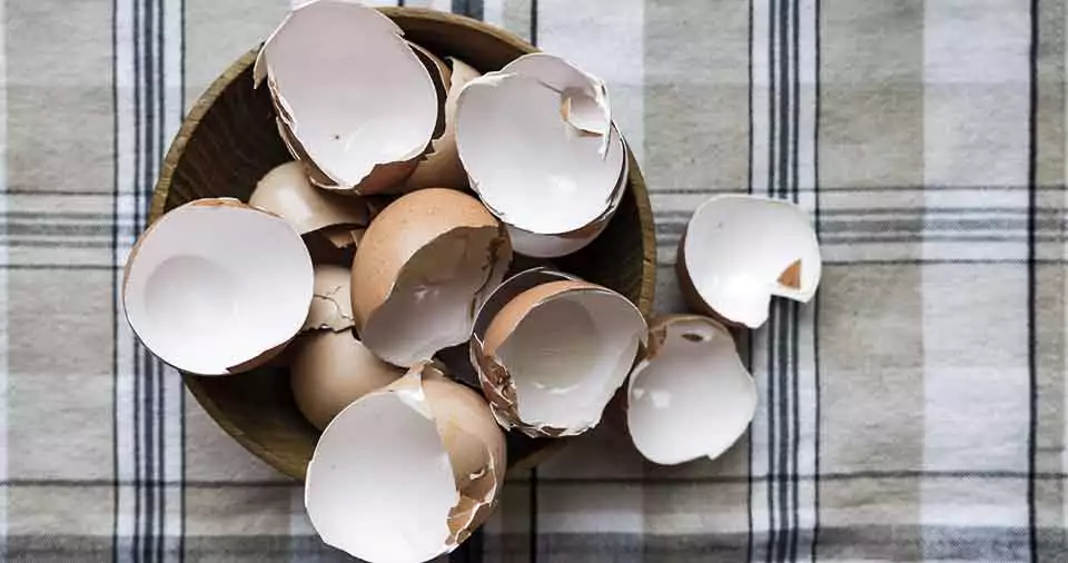 are-egg-shells-biodegradable