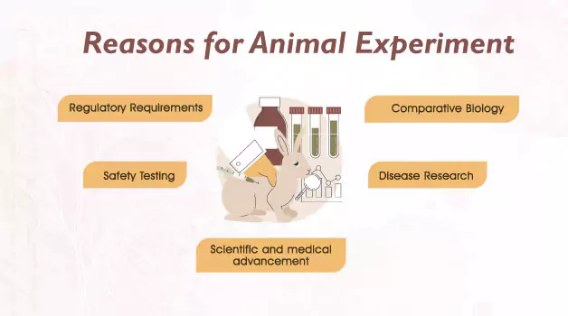 reasons-for-animal-experiment