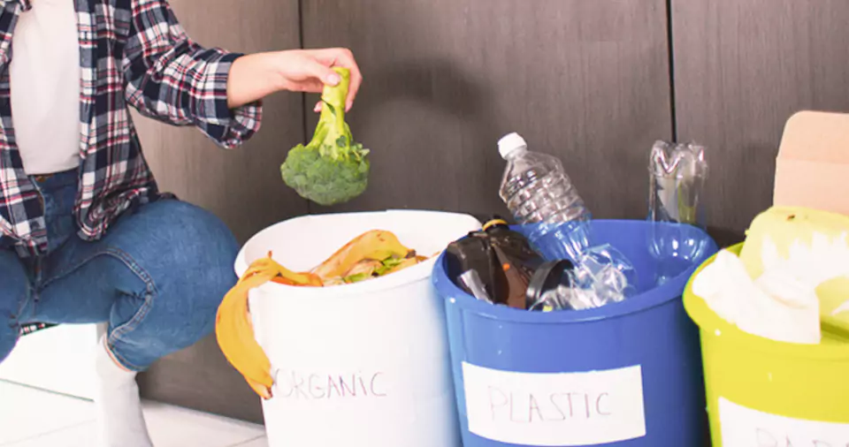 Eco-friendly waste disposal methods